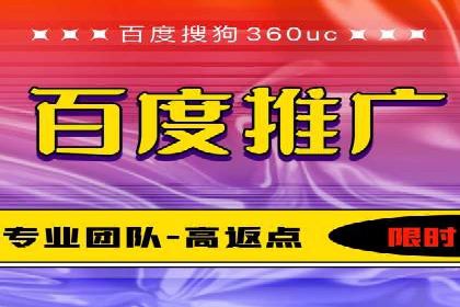 百度竞价广告投放全解析：成功案例揭秘